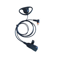 P10L04-2W-M11
